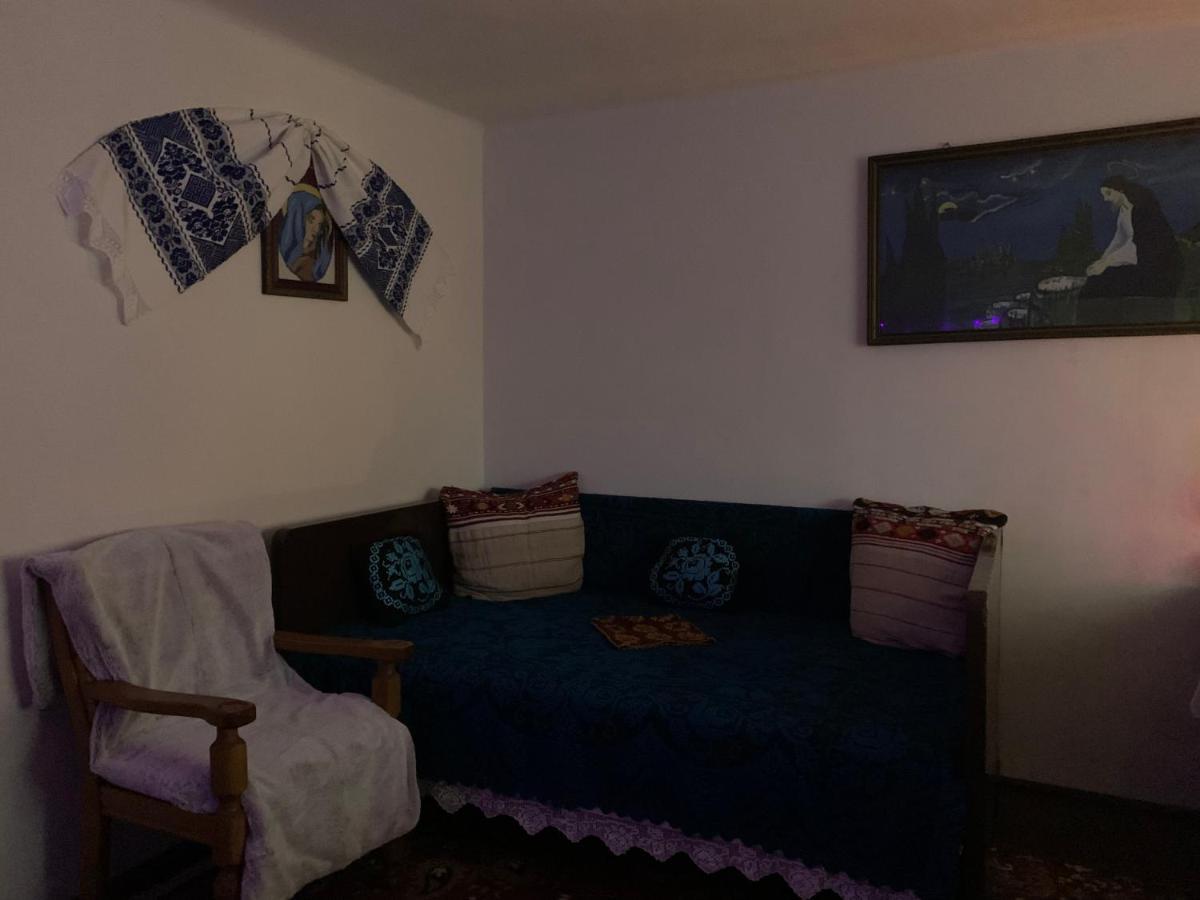 Casa Lui Mosu Βίλα Άλμπα Ιούλια Εξωτερικό φωτογραφία