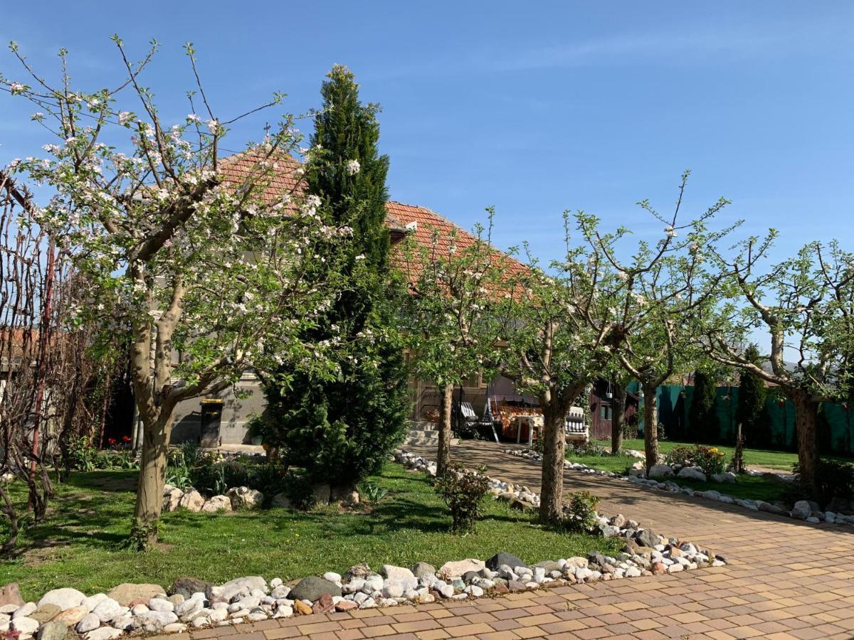 Casa Lui Mosu Βίλα Άλμπα Ιούλια Εξωτερικό φωτογραφία