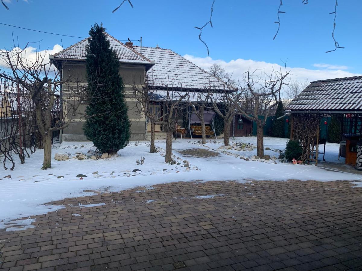 Casa Lui Mosu Βίλα Άλμπα Ιούλια Εξωτερικό φωτογραφία