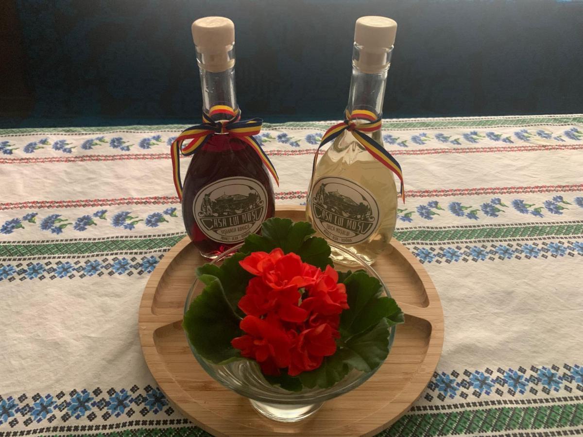 Casa Lui Mosu Βίλα Άλμπα Ιούλια Εξωτερικό φωτογραφία
