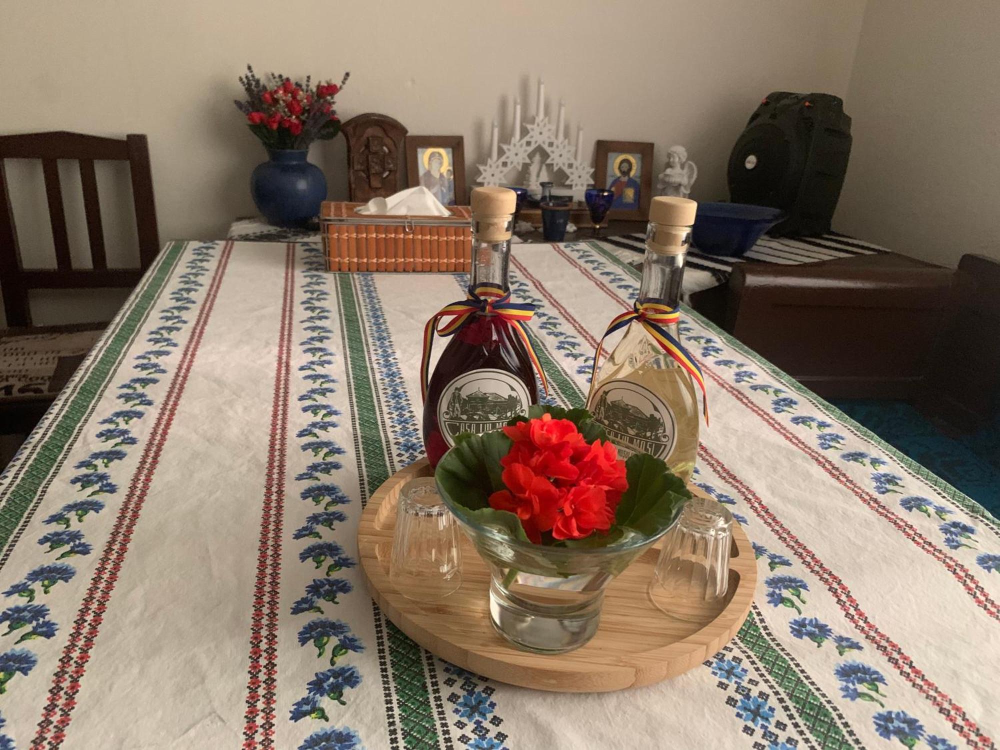 Casa Lui Mosu Βίλα Άλμπα Ιούλια Εξωτερικό φωτογραφία